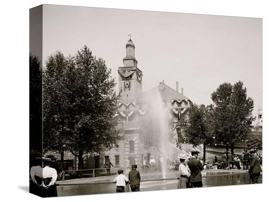 Stretched Canvas Print, , large