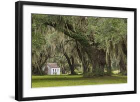 South Carolina, Ace Basin NWR. Spanish Moss on Oak Trees-Don Paulson-Framed Photographic Print