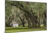 South Carolina, Ace Basin NWR. Spanish Moss on Oak Trees-Don Paulson-Mounted Photographic Print