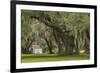 South Carolina, Ace Basin NWR. Spanish Moss on Oak Trees-Don Paulson-Framed Photographic Print