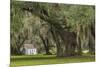 South Carolina, Ace Basin NWR. Spanish Moss on Oak Trees-Don Paulson-Mounted Photographic Print