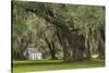 South Carolina, Ace Basin NWR. Spanish Moss on Oak Trees-Don Paulson-Stretched Canvas