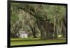 South Carolina, Ace Basin NWR. Spanish Moss on Oak Trees-Don Paulson-Framed Photographic Print