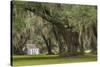 South Carolina, Ace Basin NWR. Spanish Moss on Oak Trees-Don Paulson-Stretched Canvas