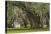 South Carolina, Ace Basin NWR. Spanish Moss on Oak Trees-Don Paulson-Stretched Canvas