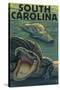 South Carolina - Alligators-Lantern Press-Stretched Canvas