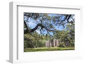 South Carolina, Beaufort County, Old Sheldon Church-Jim Engelbrecht-Framed Photographic Print