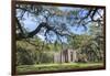 South Carolina, Beaufort County, Old Sheldon Church-Jim Engelbrecht-Framed Photographic Print