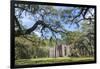 South Carolina, Beaufort County, Old Sheldon Church-Jim Engelbrecht-Framed Photographic Print