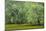 South Carolina, Charleston, Edisto Beach SP. Oak Trees Next to Swamp-Don Paulson-Mounted Photographic Print