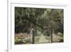 South Carolina, Charleston. Entrance to Boone Hall Plantation-Jaynes Gallery-Framed Photographic Print