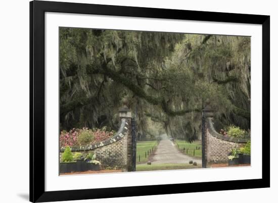 South Carolina, Charleston. Entrance to Boone Hall Plantation-Jaynes Gallery-Framed Photographic Print