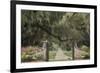 South Carolina, Charleston. Entrance to Boone Hall Plantation-Jaynes Gallery-Framed Photographic Print