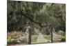 South Carolina, Charleston. Entrance to Boone Hall Plantation-Jaynes Gallery-Mounted Photographic Print