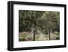 South Carolina, Charleston. Entrance to Boone Hall Plantation-Jaynes Gallery-Framed Photographic Print