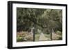 South Carolina, Charleston. Entrance to Boone Hall Plantation-Jaynes Gallery-Framed Photographic Print