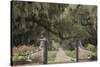 South Carolina, Charleston. Entrance to Boone Hall Plantation-Jaynes Gallery-Stretched Canvas