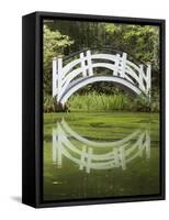 South Carolina, Charleston, Magnolia Plantation. Arching Bridge-Don Paulson-Framed Stretched Canvas