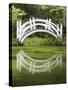 South Carolina, Charleston, Magnolia Plantation. Arching Bridge-Don Paulson-Stretched Canvas