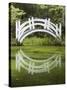 South Carolina, Charleston, Magnolia Plantation. Arching Bridge-Don Paulson-Stretched Canvas