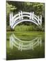 South Carolina, Charleston, Magnolia Plantation. Arching Bridge-Don Paulson-Mounted Photographic Print