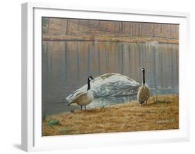 South Carolina Geese-Bruce Dumas-Framed Giclee Print