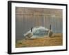 South Carolina Geese-Bruce Dumas-Framed Giclee Print