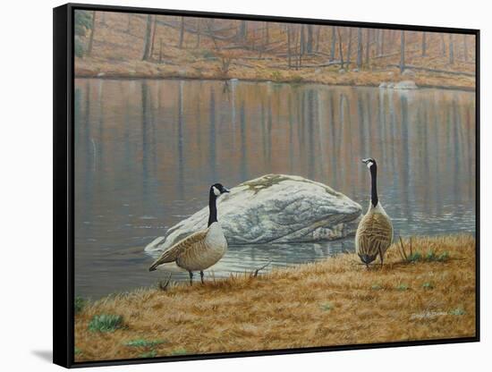 South Carolina Geese-Bruce Dumas-Framed Stretched Canvas