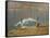 South Carolina Geese-Bruce Dumas-Framed Stretched Canvas