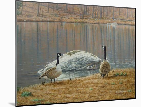 South Carolina Geese-Bruce Dumas-Mounted Giclee Print