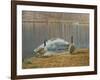 South Carolina Geese-Bruce Dumas-Framed Giclee Print