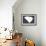 South Carolina - Home State - White on Gray-Lantern Press-Framed Art Print displayed on a wall