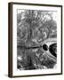 South Carolina: Lake, c1900-William Henry Jackson-Framed Giclee Print