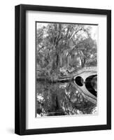 South Carolina: Lake, c1900-William Henry Jackson-Framed Giclee Print