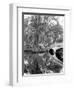 South Carolina: Lake, c1900-William Henry Jackson-Framed Giclee Print