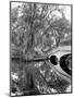 South Carolina: Lake, c1900-William Henry Jackson-Mounted Giclee Print