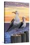 South Carolina - Sea Gulls-Lantern Press-Stretched Canvas