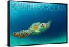 South Carolina - Sea Turtle-Lantern Press-Framed Stretched Canvas