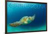 South Carolina - Sea Turtle-Lantern Press-Framed Art Print