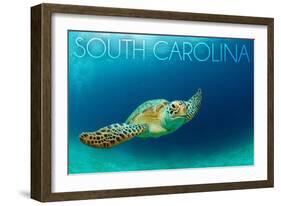 South Carolina - Sea Turtle-Lantern Press-Framed Art Print