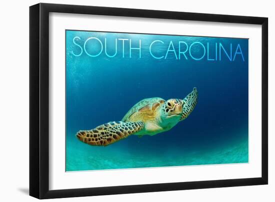 South Carolina - Sea Turtle-Lantern Press-Framed Art Print