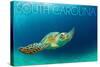 South Carolina - Sea Turtle-Lantern Press-Stretched Canvas