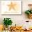 South Carolina - Starfish - Yellow - Coastal Icon-Lantern Press-Stretched Canvas displayed on a wall