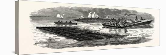 South Carolina: the South in 1880: Construction of Jetties for the Improvement of Charleston Harbor-null-Stretched Canvas