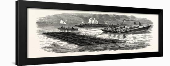 South Carolina: the South in 1880: Construction of Jetties for the Improvement of Charleston Harbor-null-Framed Giclee Print