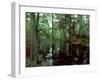 South Carolina, USA-null-Framed Photographic Print