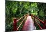 South Carolina Zen Path-George Oze-Mounted Photographic Print