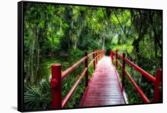 South Carolina Zen Path-George Oze-Framed Stretched Canvas