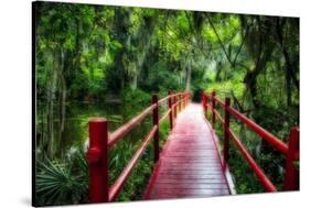 South Carolina Zen Path-George Oze-Stretched Canvas