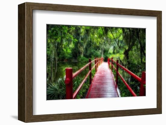 South Carolina Zen Path-George Oze-Framed Photographic Print